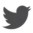 Twitter Logo